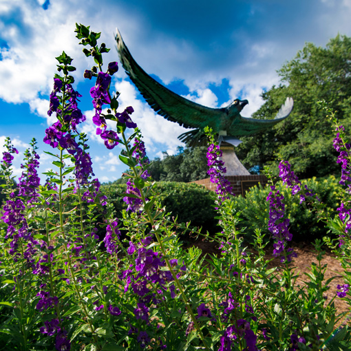 Seahawk statue in garden surrounded by flowers