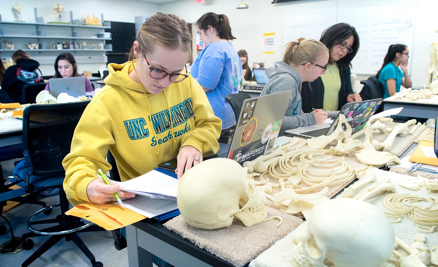 students working at a table covered with skeletal parts