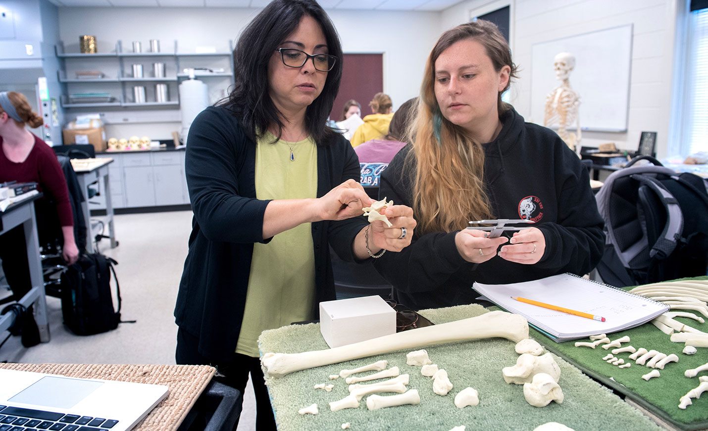 faculty members shows student how to measure spaces in a vertebrae