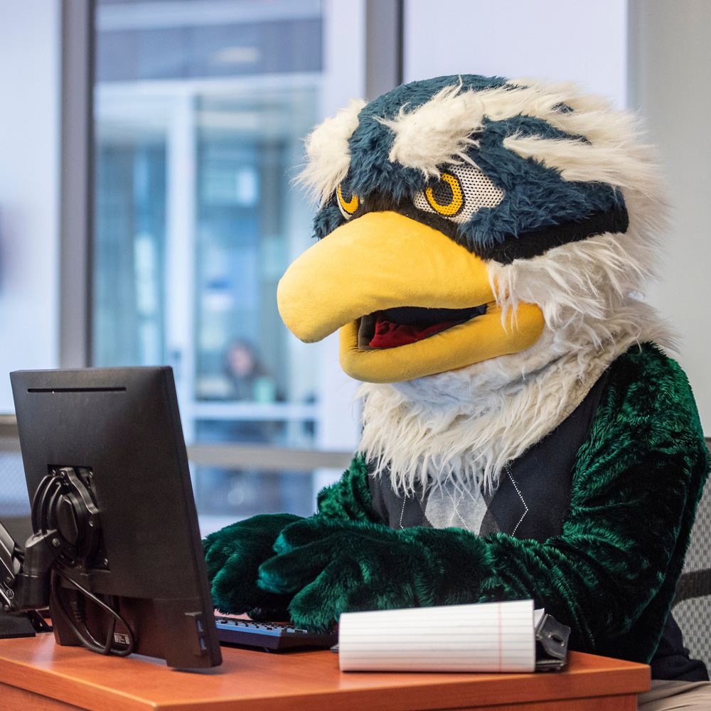 UNCW's mascot Sammy Seahawk using a computer