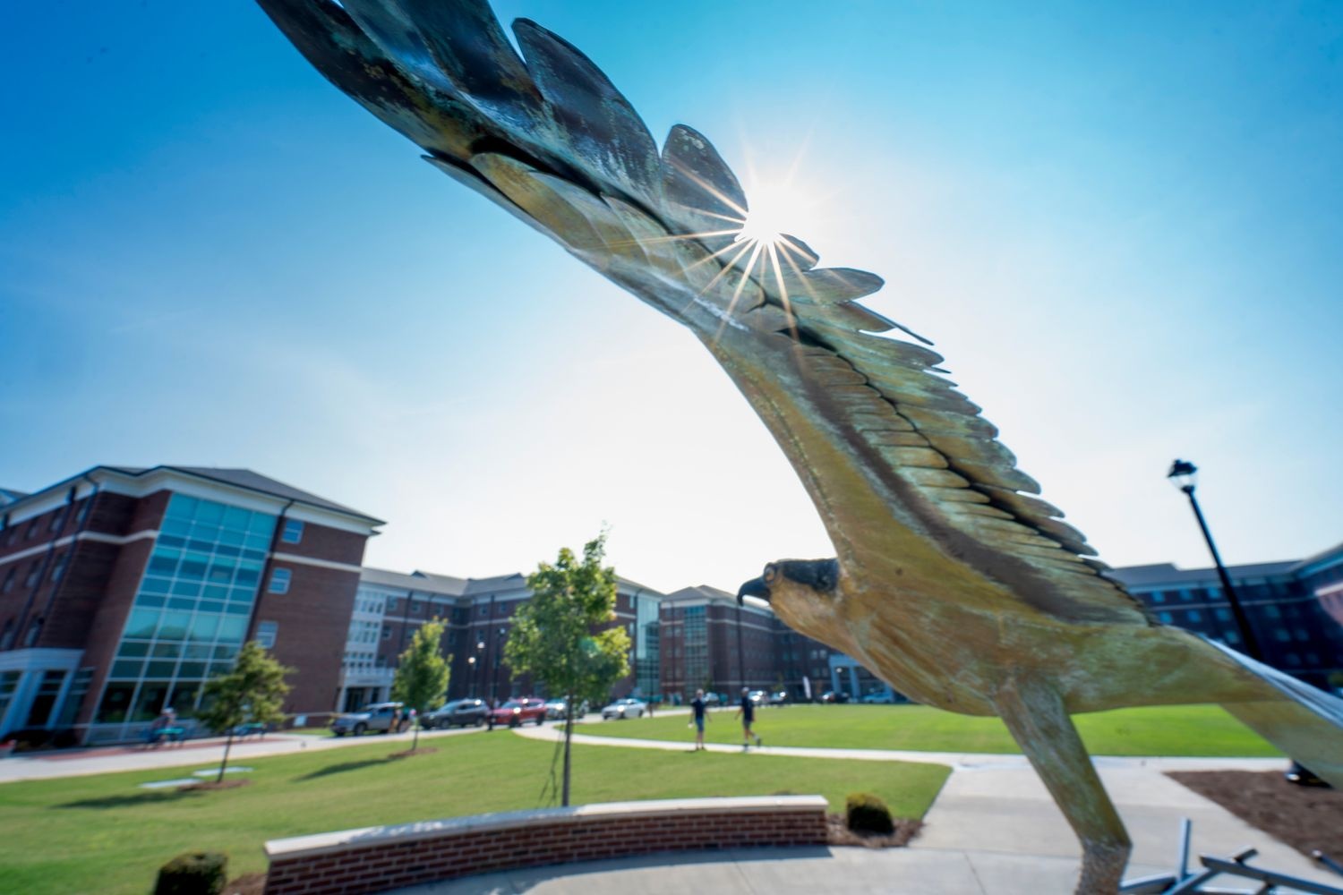 Seahawk Statue on Campus