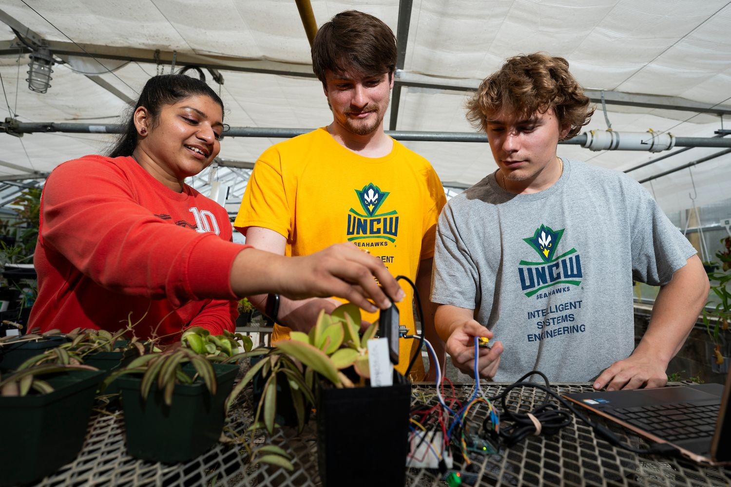 Intelligent Systems Engineering (ISE) students working in the Kresge Greenhouse.
