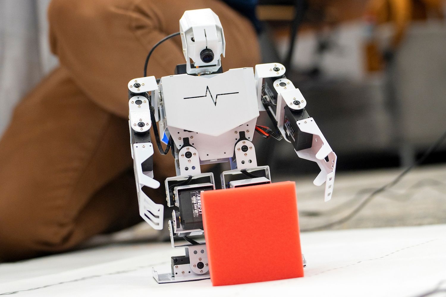 College of Science and Engineering Computing Showcase