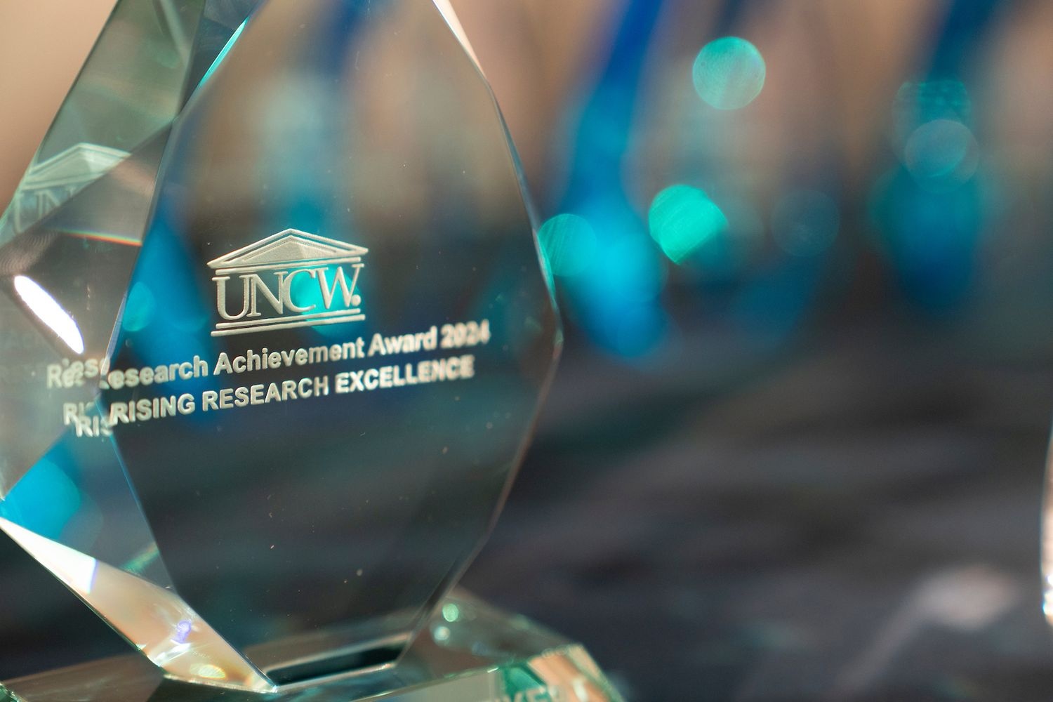 Close-up of the Rising Research Excellence Award.