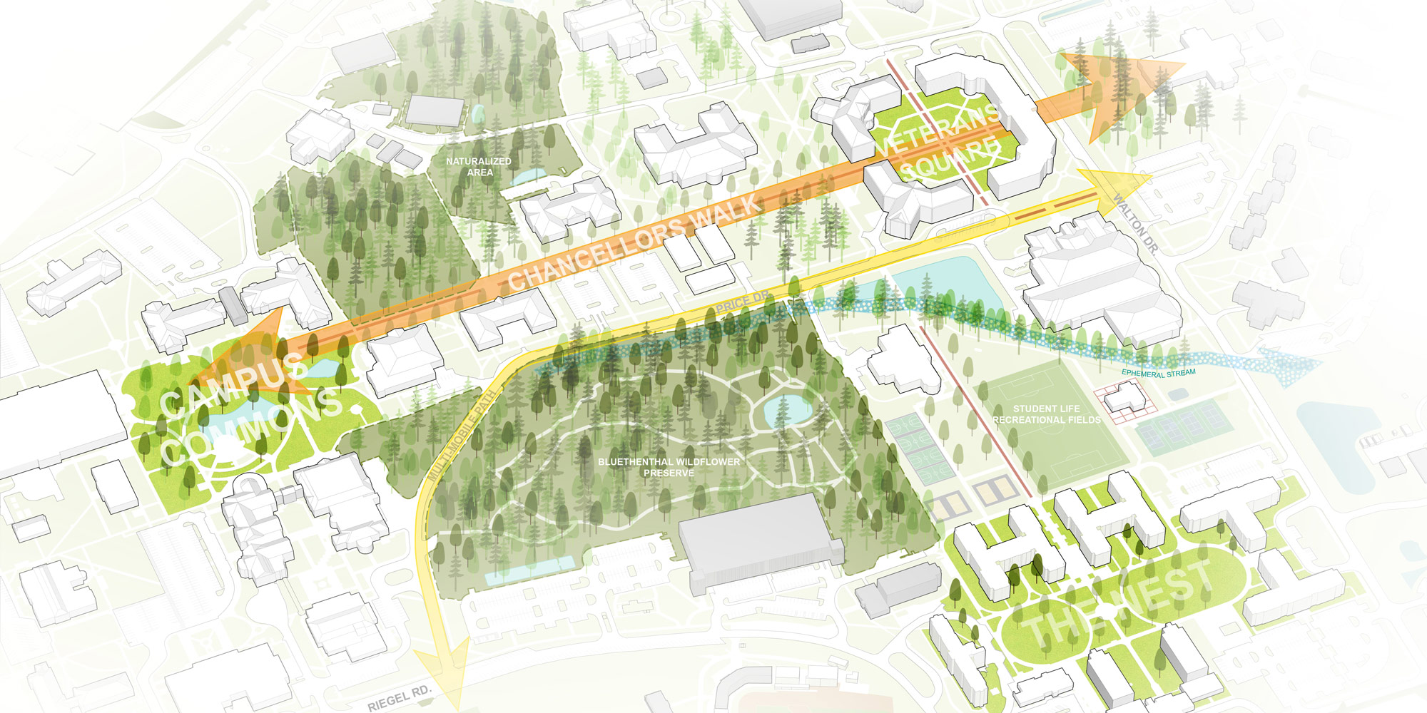 master plan illustration of chancellor's walk on the UNCW Campus