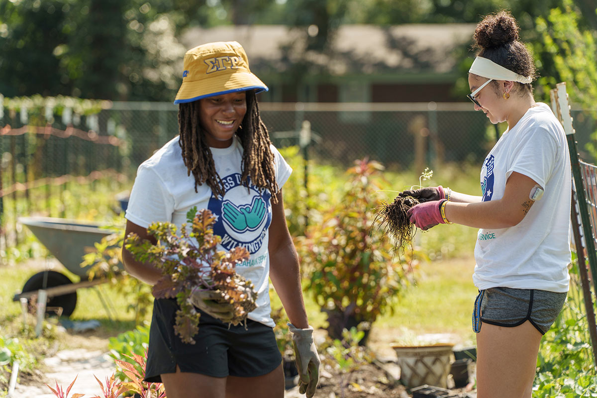 UNCW volunteers work with soil and dirt during Wings Up for Wilmington
