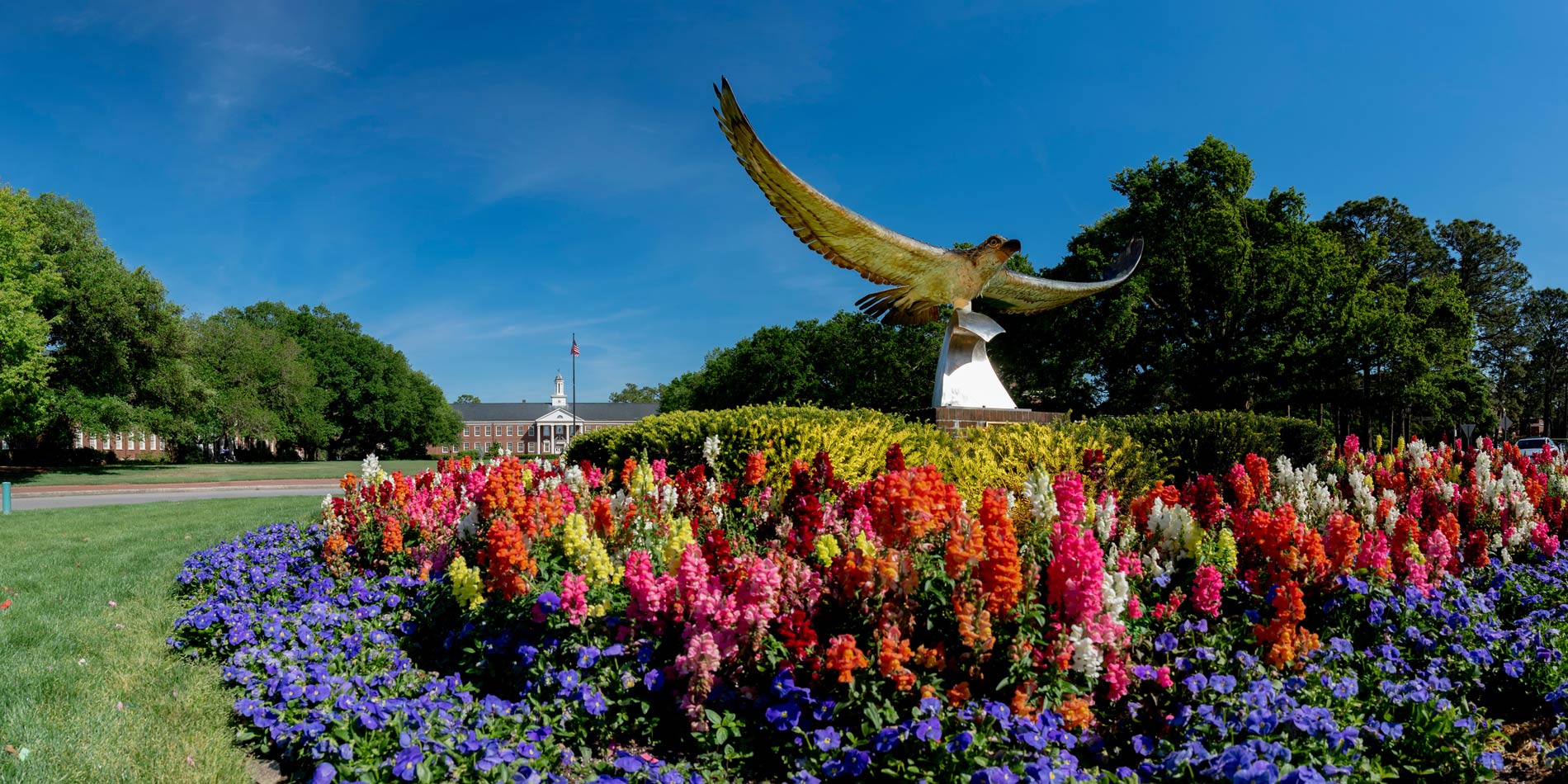Seahawk Statue in a flower garden