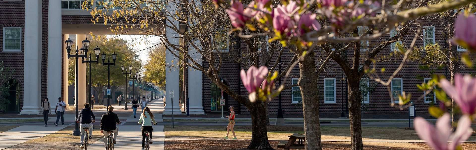 Students traveling down a sidewalk on bikes on their way to class