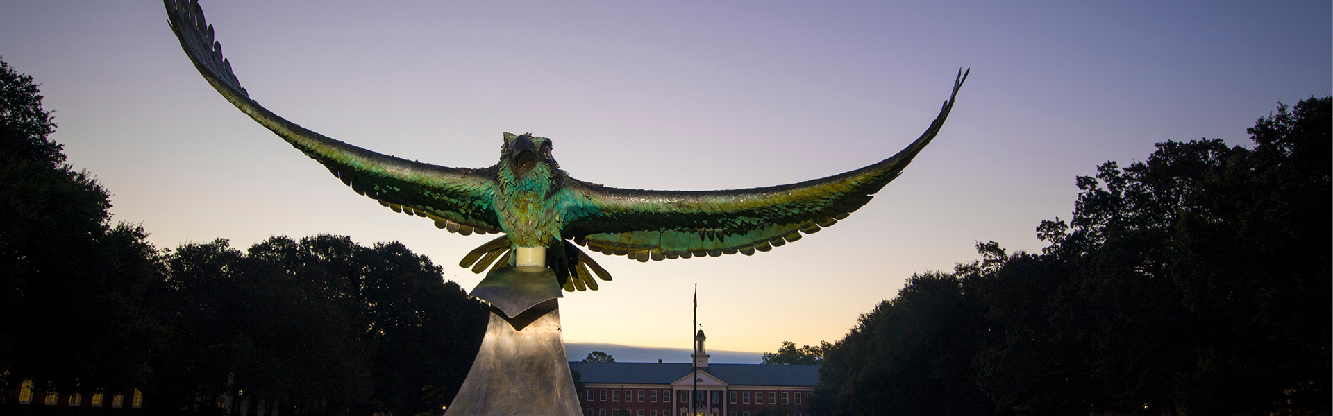 Seahawk Statue at Night