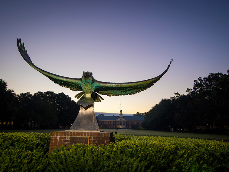 Seahawk statue at the front of campus at dusk