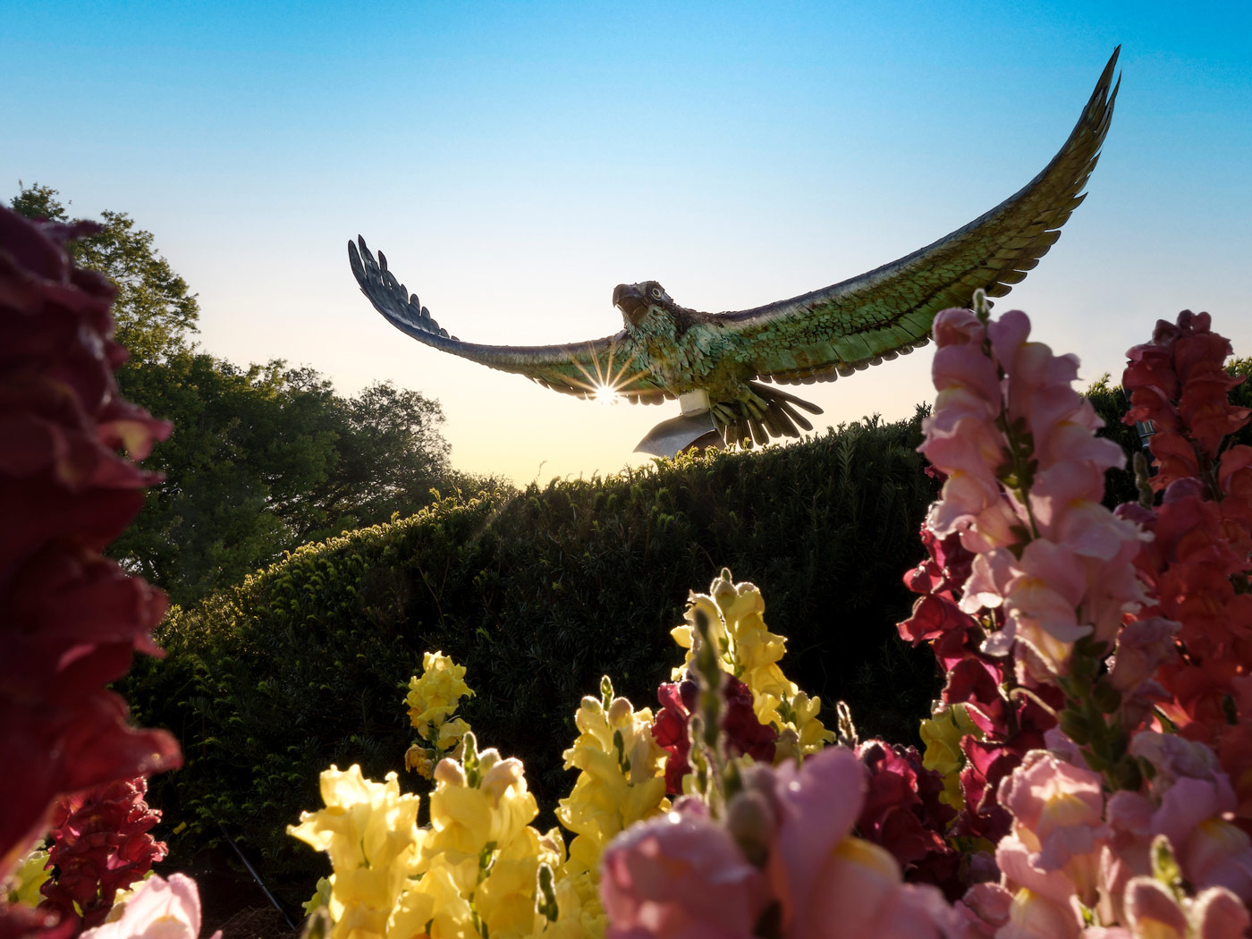 Seahawk Statue surrounded by spring flowers