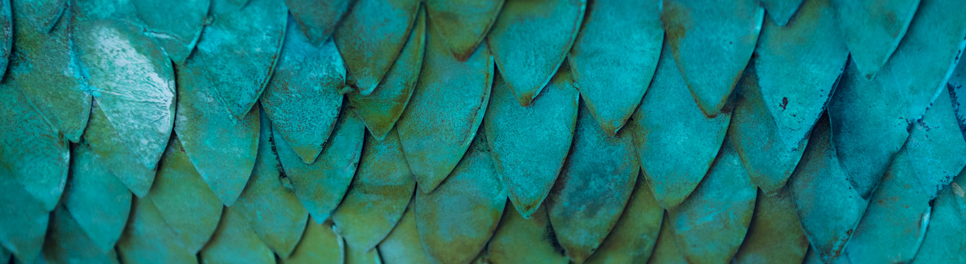 UNCW seahawk statue feathers up close
