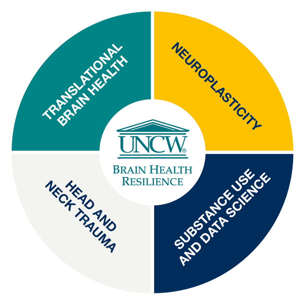 Brain Health Resilience Translational Brain Health Neuroplasticity Head & Neck Trauma Substance Use & Data Science