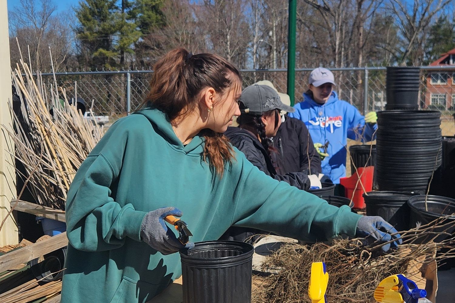 Students planting trees in Asheville