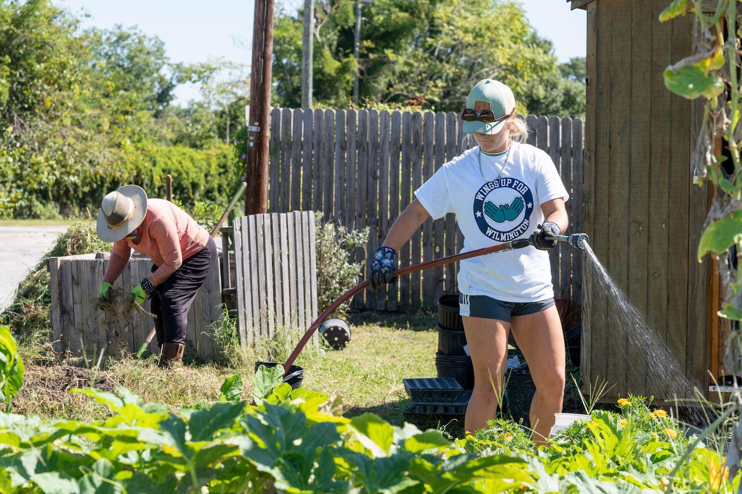 Watering plants in the flower garden