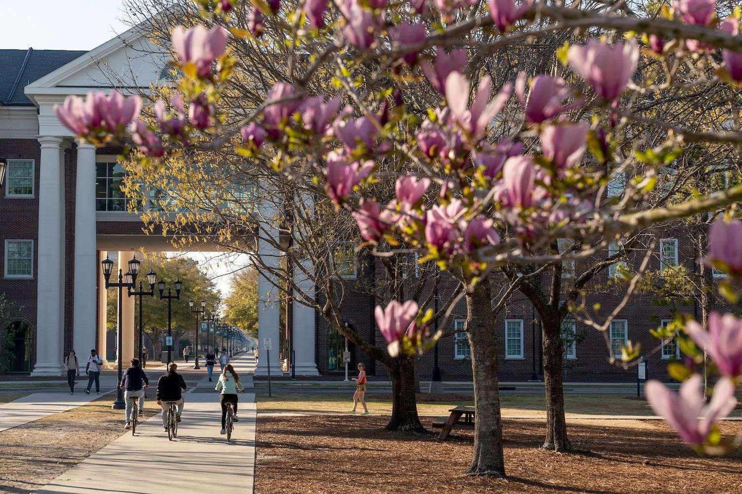 UNCW campus in spring