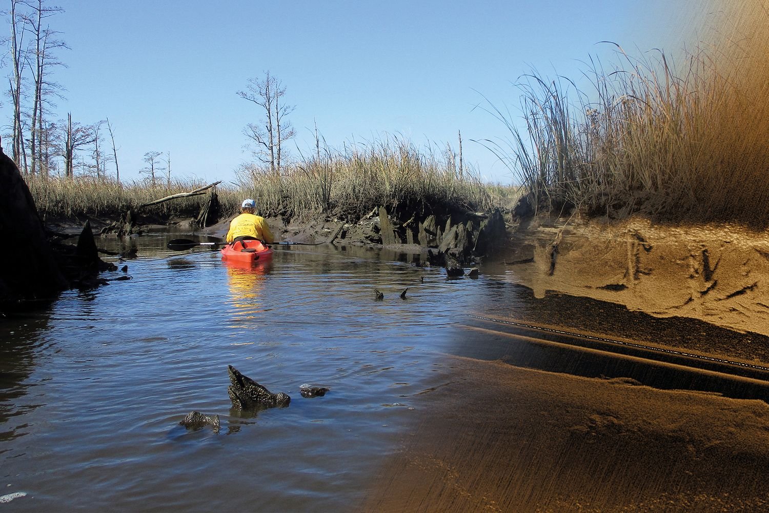 Cape Fear River kayaking