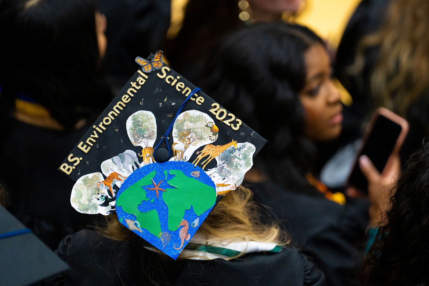 Environmental Sciences graduation cap