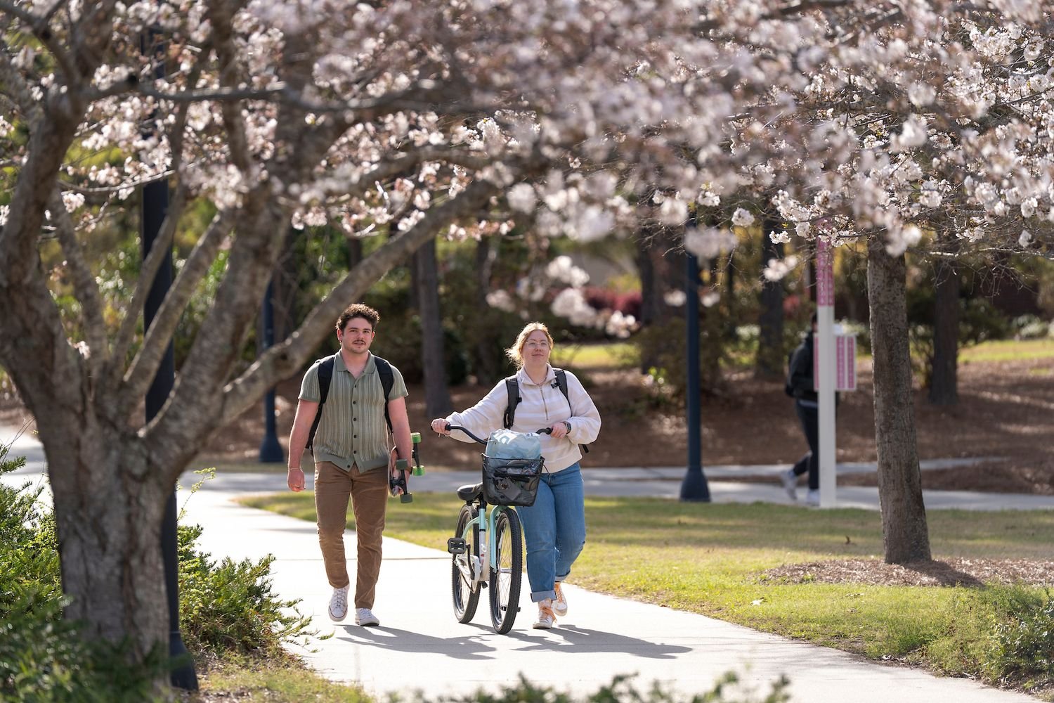 Early spring blooms begin to show up around the campus of UNCW