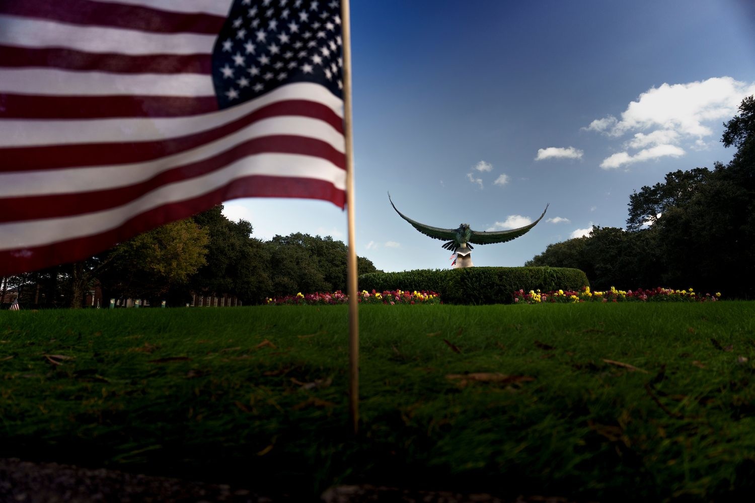 Flags in front of Seahawk statue