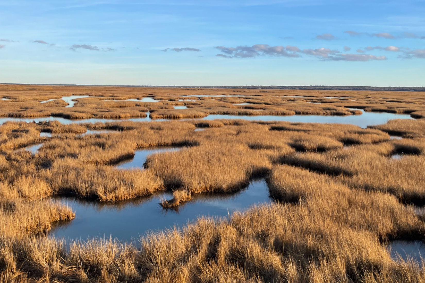 Salt marsh ponding in Barnstable, MA Photo Credit: Erin K. Peck