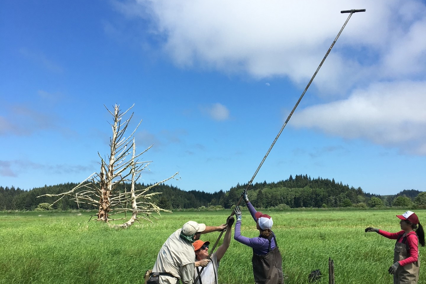 Andrea Hawkes, UNCW professor of Geoscience, along with Professors Diego Melgar from the University of Oregon and Tina Dura from Virginia Tech, received a $750,000 grant to further earthquake and tsunami research.