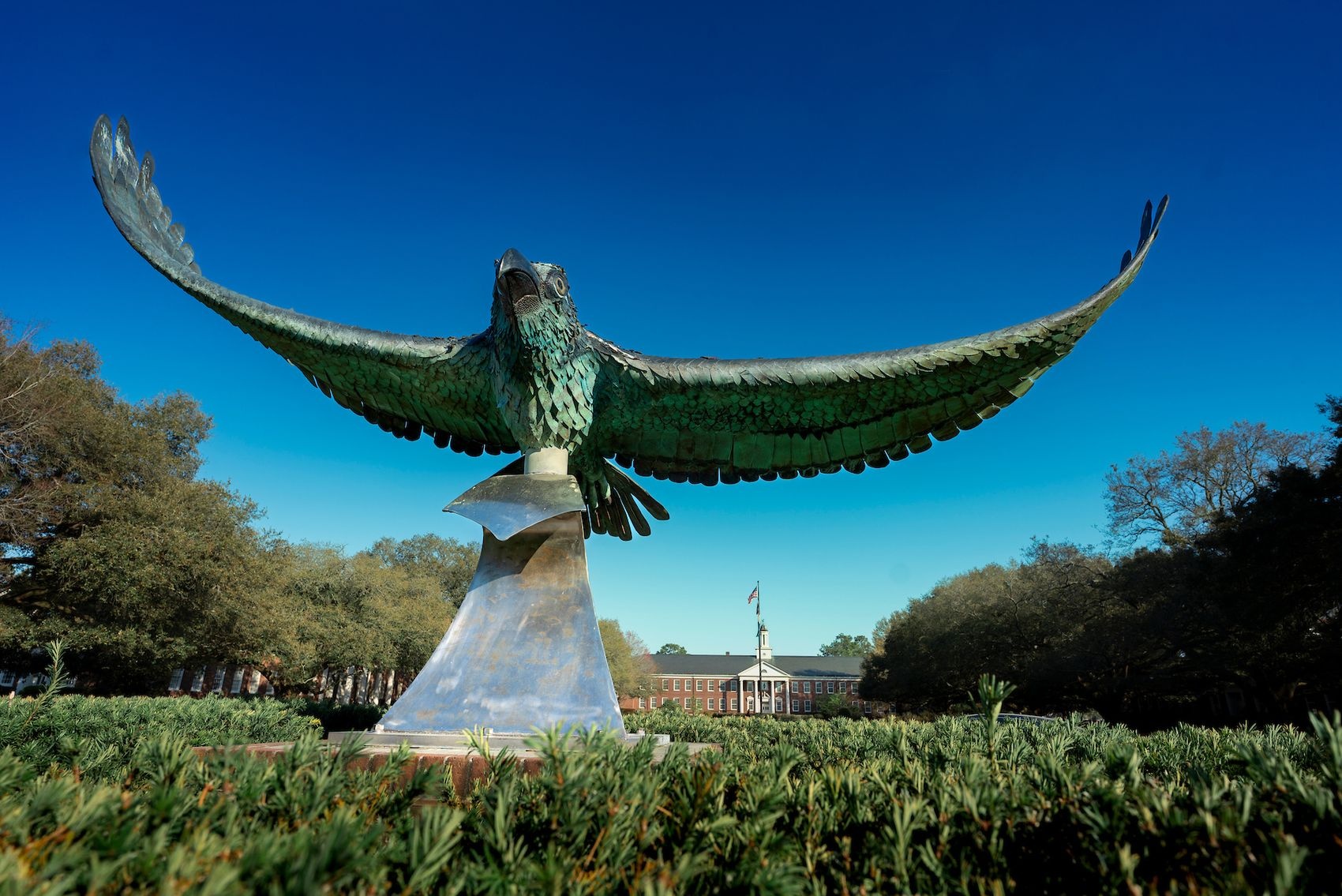 Soaring Seahawk sculpture