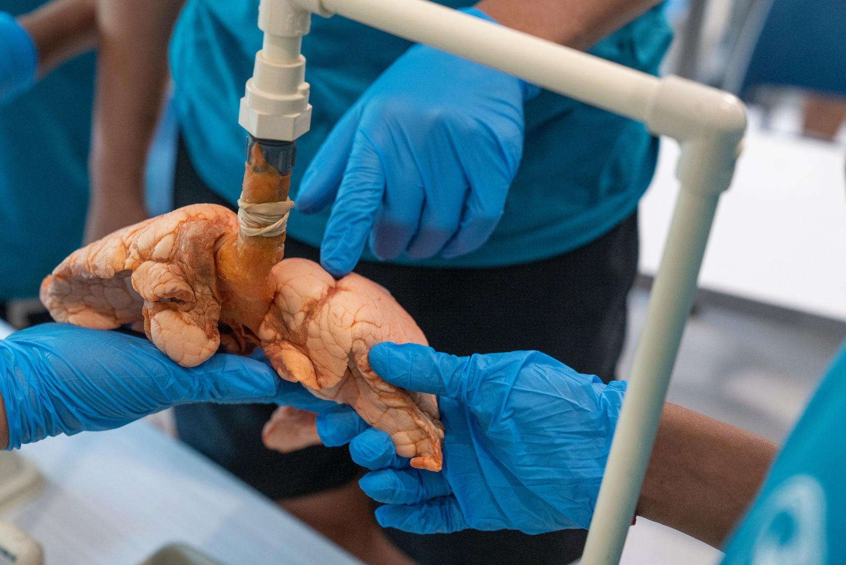 Respiratory Therapy