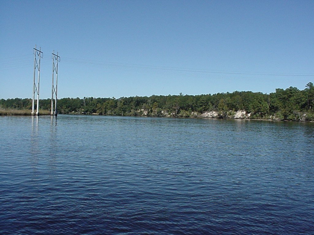 ncf6.jpg